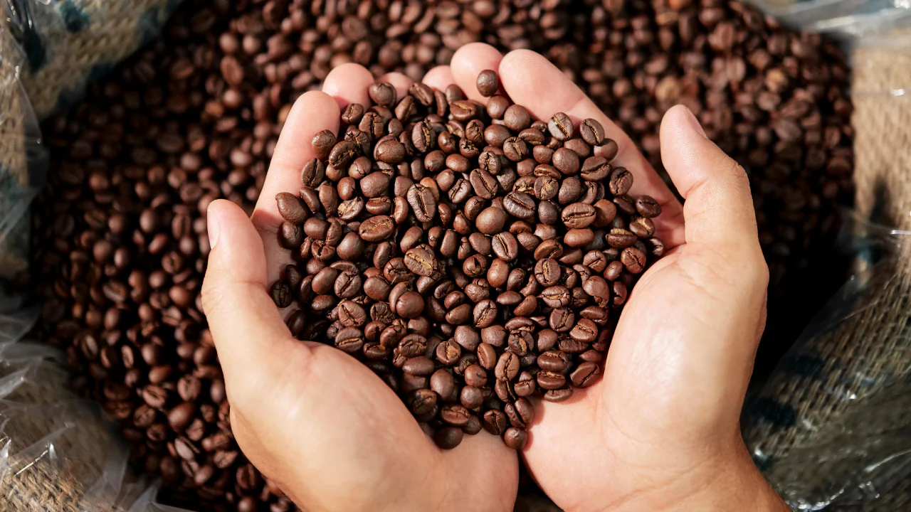 coffee_beans